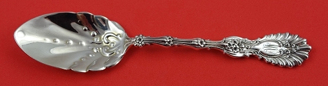 Ice Cream Spoon 5 3/4